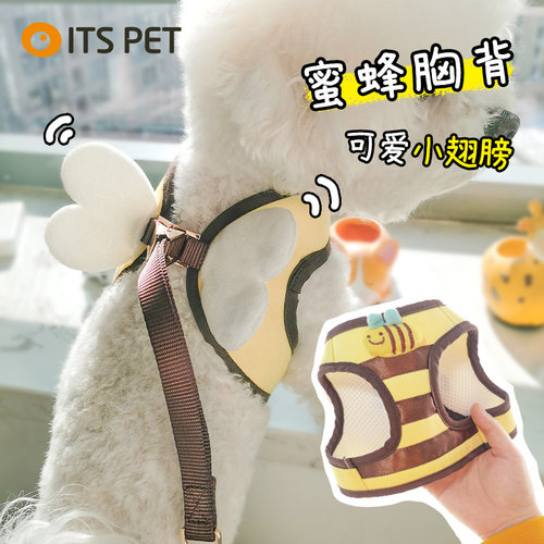 韩国itspet蜜蜂可爱狗狗牵引绳