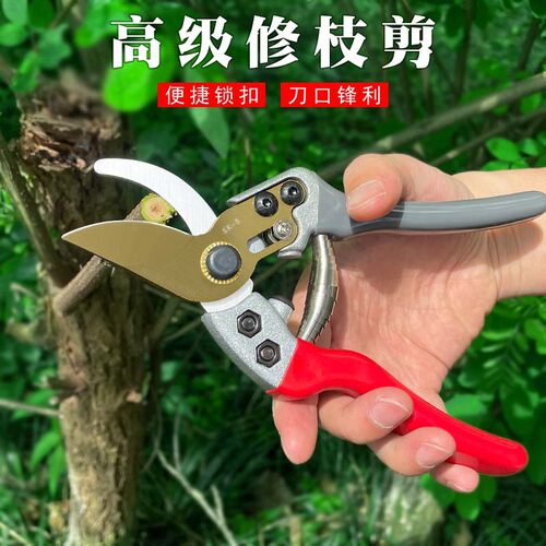 园艺剪刀批发果树修枝剪园林粗枝剪高空修枝剪花艺修枝剪刀摘果剪