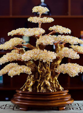 鸿瀚轩天然客厅摇钱树