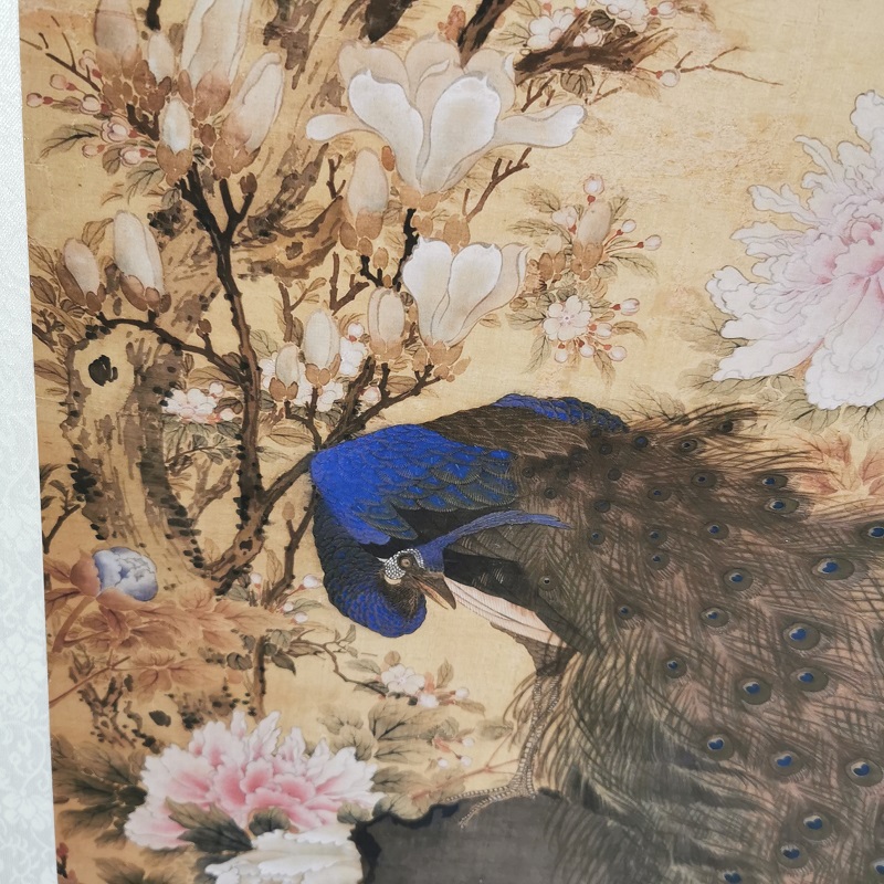 沈铨 孔雀玉兰牡丹图 复古书画竖幅挂轴国画微喷仿古复制临摹装饰