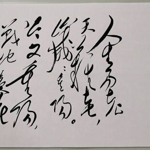 沁园春诗词采桑子重阳复古书法字画草书微喷仿古装裱玄关客厅装饰