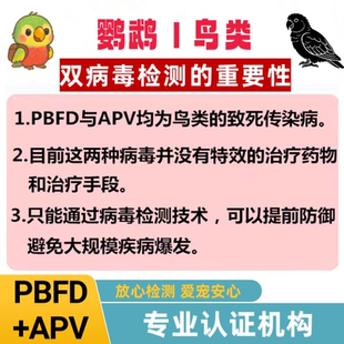 鹦鹉双病毒检测鸟类DNA牡丹玄风PBFD病毒APV病毒验卡性别鉴定