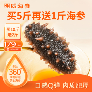 明威即食海参500g辽刺参冷冻非鲜活孕妇旗舰店礼盒独立包装 袋送礼