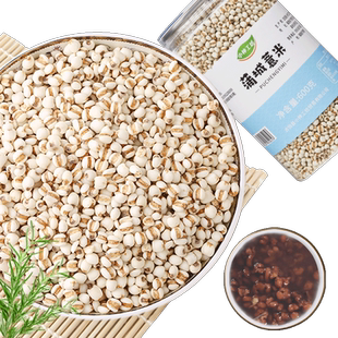 小钟工坊 浦城薏米500g*2罐 新鲜小薏米仁薏仁米苡仁 软糯好吃
