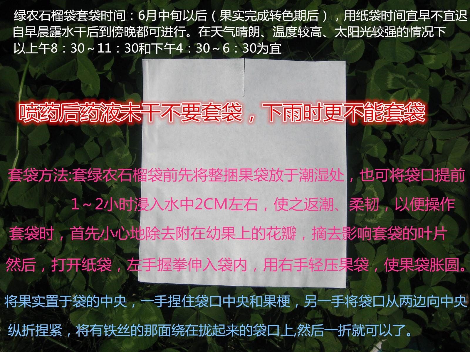 黄桃防水黄桃袋子套袋果袋专用果袋双层防虫防污染黄桃袋100个|ruв категории доставка цветов/цветок моделирования/растения садоводства, садовых принадлежностей, других садовых принадлежностей - от Buy2taobao.com для оказания профессиональной услуги покупки агента Taobao