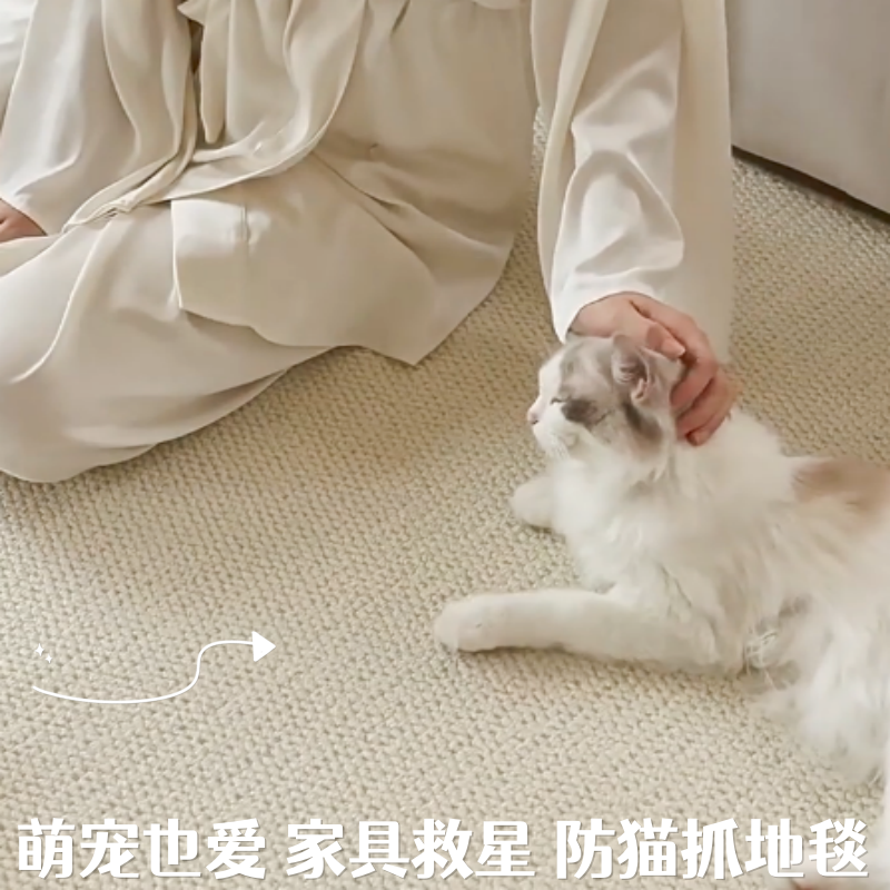 家用工厂直销仿剑麻地毯租房
