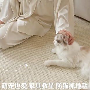 仿剑麻地毯卧室客厅防猫抓摄影棚床边地毯简约租房飘窗拍照奶油风