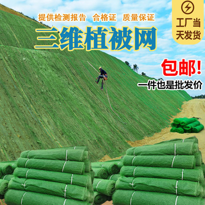 复绿绿化专用防护网三维植被网垫