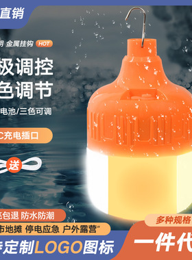 双色调光led充电灯泡夜市灯地摊灯摆摊灯球泡户外家用应急USB充电