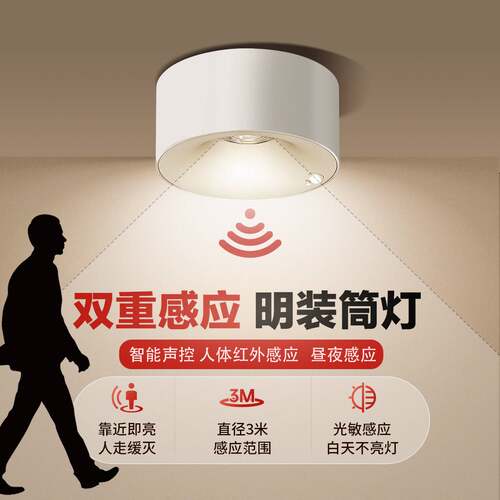 led人体双重感应筒灯薄明装