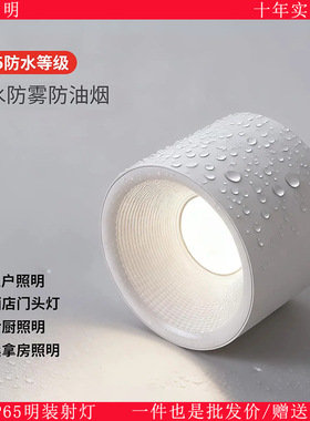 明装防水筒灯户外商铺门头灯酒店入户大门屋檐IP65吸顶射灯铝材款