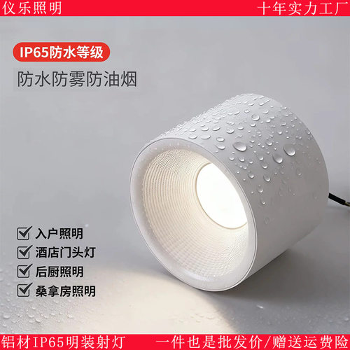 明装防水筒灯户外商铺门头灯酒店