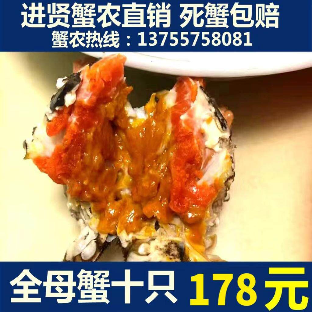 军山湖大闸蟹  活蟹 全母蟹 2.0-2.4两10只 顺丰包邮 死蟹包赔