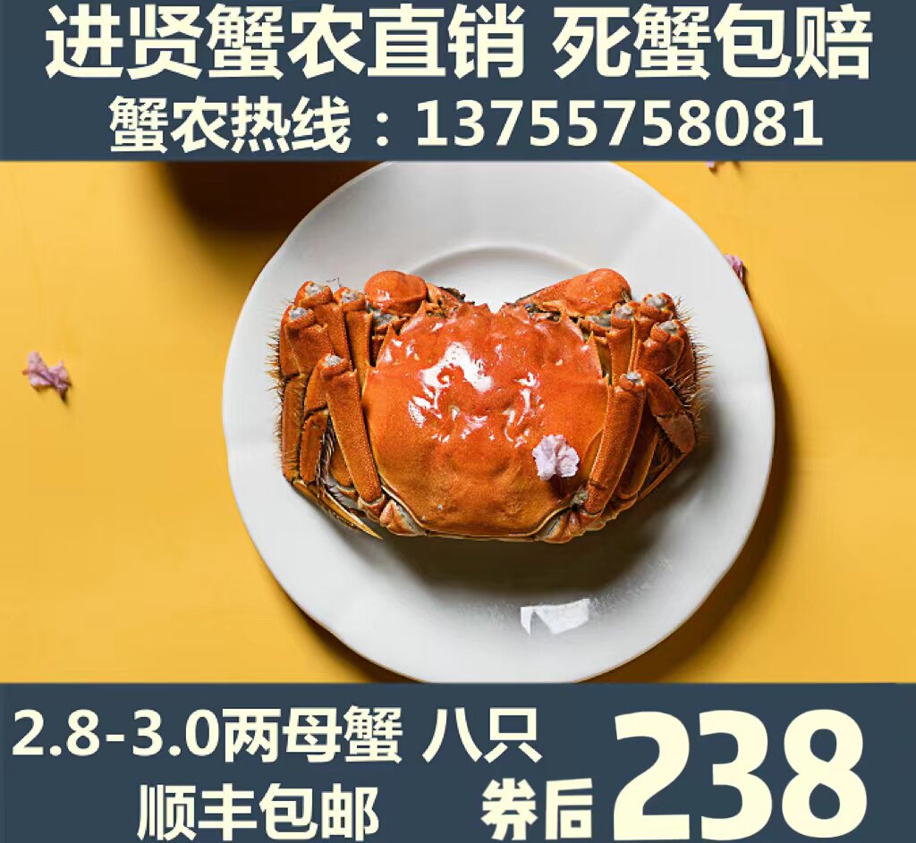 军山湖大闸蟹 螃蟹 2.8-3.0两 全大母蟹 8只 顺丰包邮 死蟹包赔