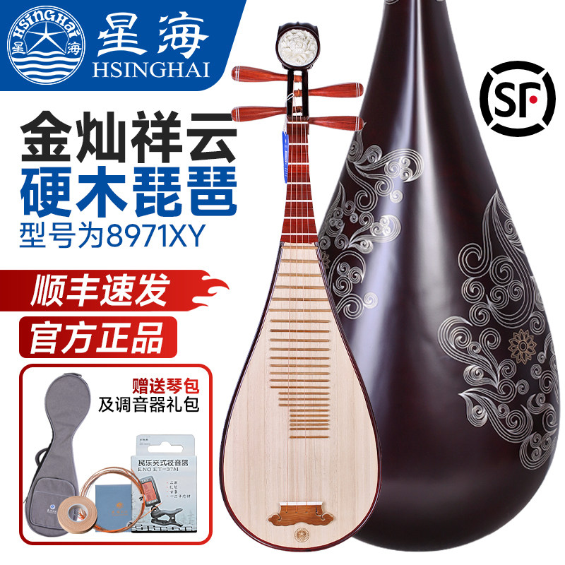 北京星海成人琵琶乐器8971XY初学者硬木琵琶金灿祥云自学练习检定