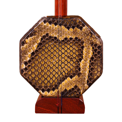 星海中胡8712花梨木学习演奏