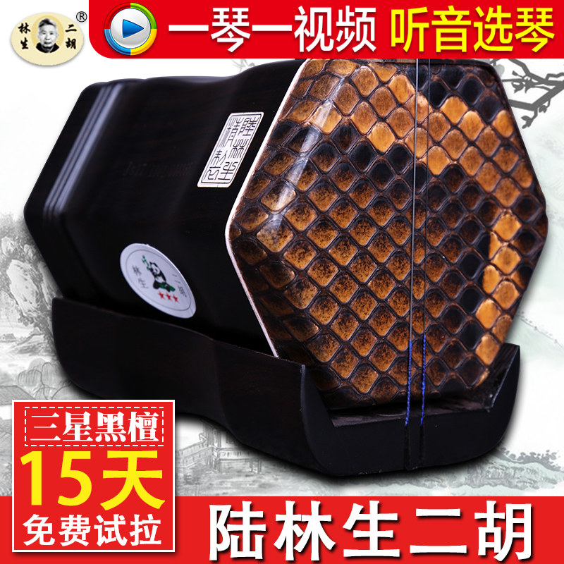 陆林生三星黑檀二胡手工二胡乐器 送原厂配件