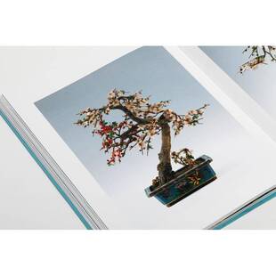 金琅华灿:张宗宪捐赠掐丝珐琅器:Chinese cloisonne as a gift Robert Chang's collection褚上海书画出版社