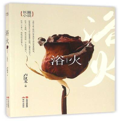 浴火:长篇小说卢汉文现代出版社