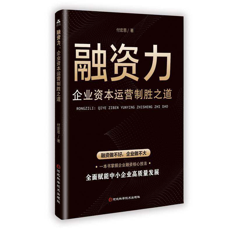 融资力:企业资本运营制胜之道付宏恩河北科学技术出版社