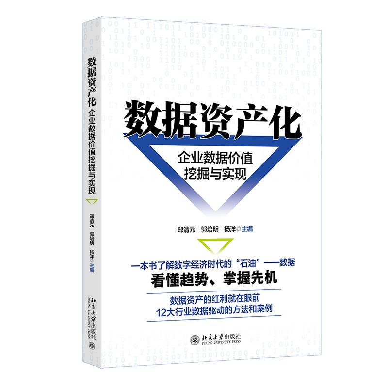 数据资产化:企业数据价值挖掘与实现郑清元北京大学出版社