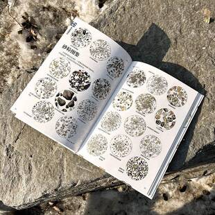 石头的生命故事盛口满绘中国友谊出版公司