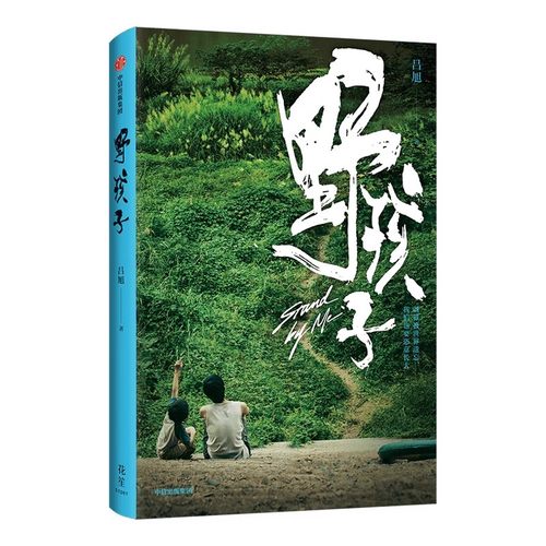 野孩子 吕旭著 源自流浪兄弟真实事件 聚焦社会困境儿童 电影野孩子官方同名小说 中信出版社