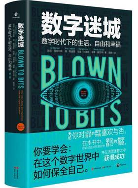 数字迷城:数字时代下的生活、自由和幸福:your life, liberty, and happiness after the digital explos哈尔·阿伯尔森现代出版社