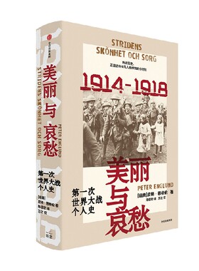 美丽与哀愁 第一次世界大战个人史 皮特恩格伦著 交错讲述23个普通人的战时经历 非虚构文学战争史书 中信出版社