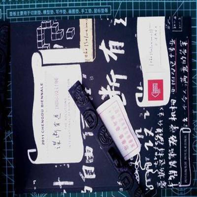 2011成都双年展全纪录何华章成都时代出版社