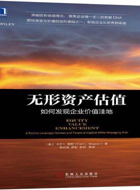 无形资产估值:如何发现企业:a tool to leverage human and financial capital while managing risk卡尔希勒机械工业出版社