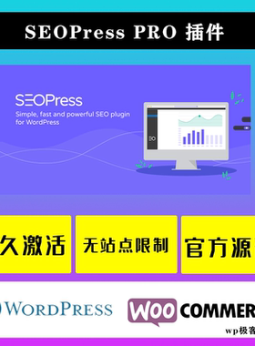 SEOPress PRO WP插件 中文版 WordPress多功能轻量专业SEO插件
