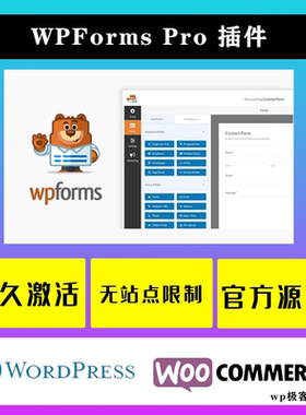 WPForms Pro WP插件 中文版 自定义拖放表单设计WordPress插件