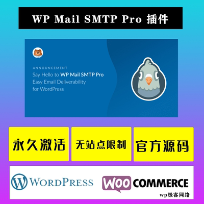 WP Mail SMTP Pro WP插件 流行的邮箱管理设置邮件发送插件
