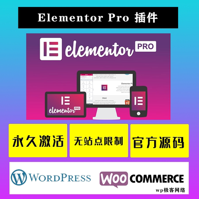 Elementor Pro WP插件 中文版 可视化编辑页面自定义含全套模板