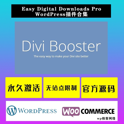 Divi Booster WP插件 Divi主题模板功能改进自定义插件