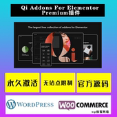 WP插件 灵活Elementor扩展 Elementor Premium Addons For