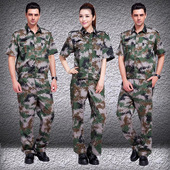 Pantalon en vrac en coton pour automne - Ref 1466794 Image 17