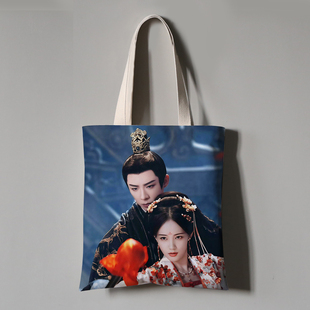 书卷一梦周边刘宇宁李一桐应援单肩帆布袋定制做明星大容量手提袋