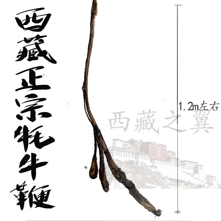 西藏正宗牦牛鞭 带睾丸 干牛鞭 1.2米左右 350克重量 正宗牦牛鞭
