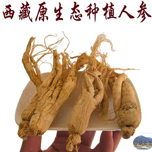 西藏人参 种植人参 250克包邮 西藏直发原汁原味自然晒干14根左右