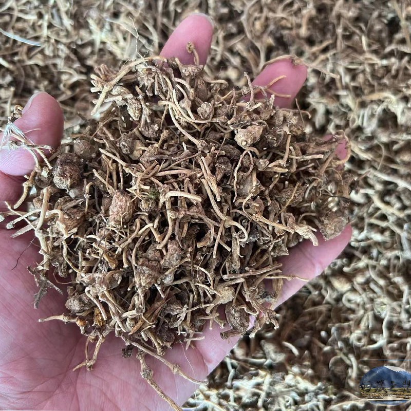 西藏发100克售93元包邮西藏三七