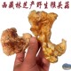 产自林芝原始森林 西藏高原野生猴头菇 猴头菇 包邮 西藏直发100克