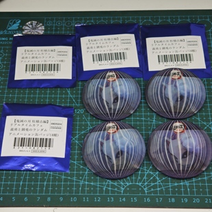 鬼灭之刃柱稽古篇3D光栅吧唧金属徽章锖兔富冈义勇现货