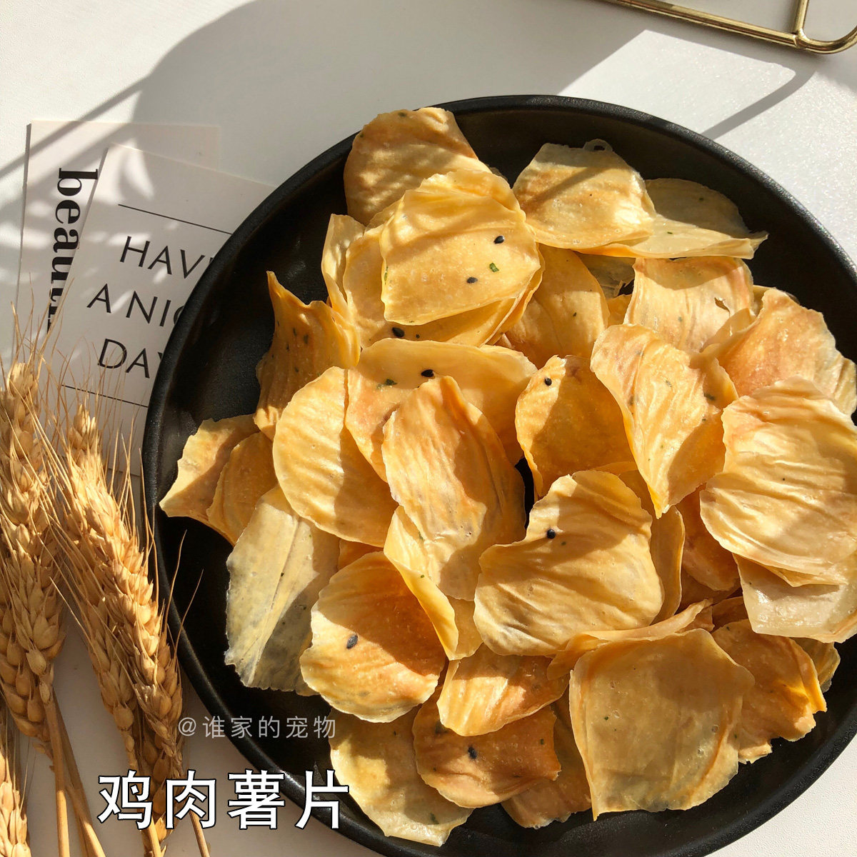 谁家的宠物 手工自制鸡肉蛋黄薯片猫狗狗零食烘干酥脆肉干无添加