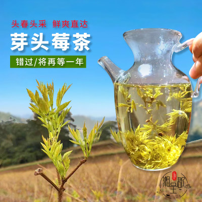 2024明前芽头茶张家界莓茶永顺藤茶朵茶土家特产长寿村正品霉茶