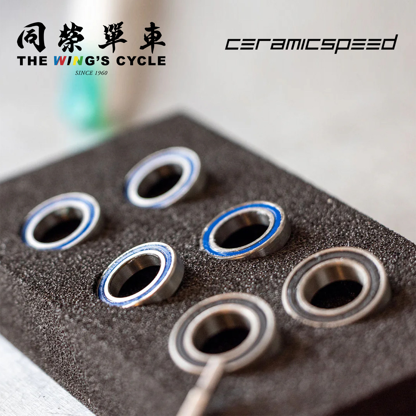 丹麦ceramicSpeed自行车轮组轴承套装Enve/LW/禧玛诺中轴/Zipp用