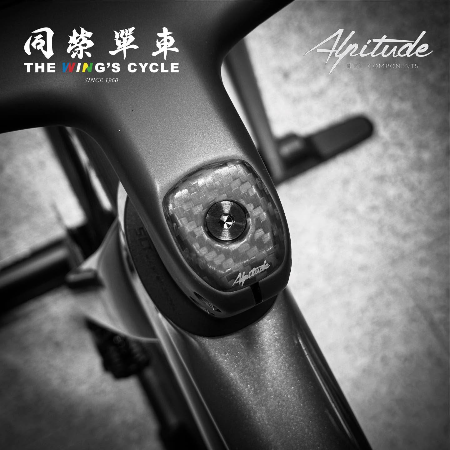 AlpitudeManghen碳纤维把立盖