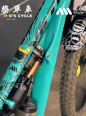 AMS蜂巢状Full充满版车架保护贴公路山地自行车通用防刮防磨18贴