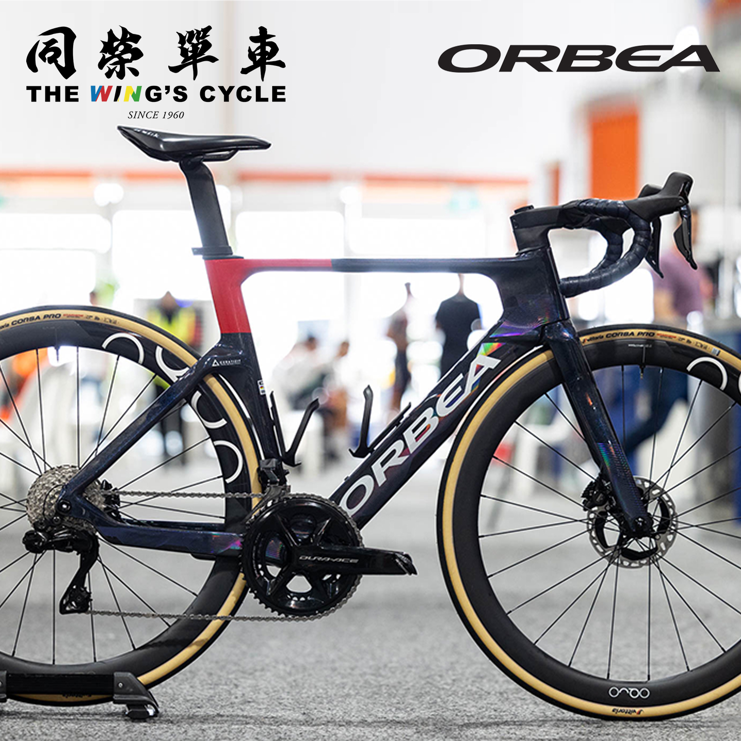 OrbeaOrcaAero碳纤维气动车架